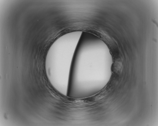 X0000097980413200803241046