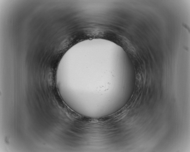 X0000097980416200803241046