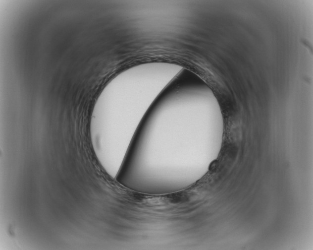 X0000097980417200803241046