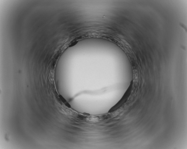 X0000097980419200803241046