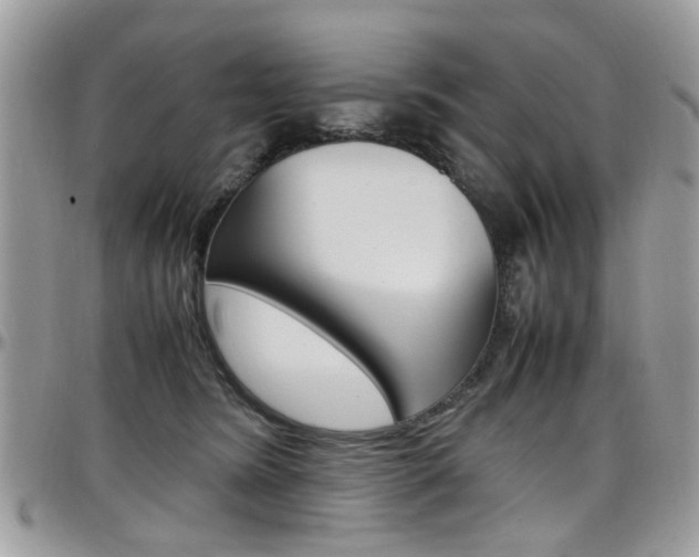 X0000097980420200803241046