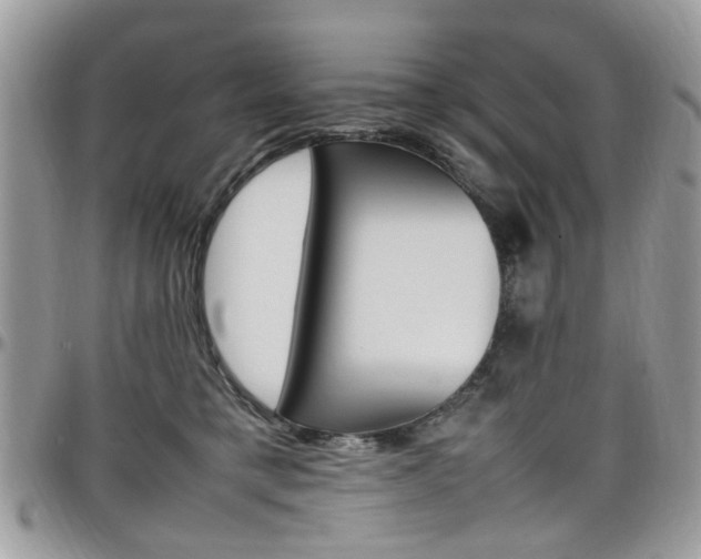 X0000097980421200803241046