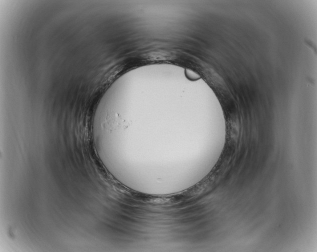 X0000097980422200803241046