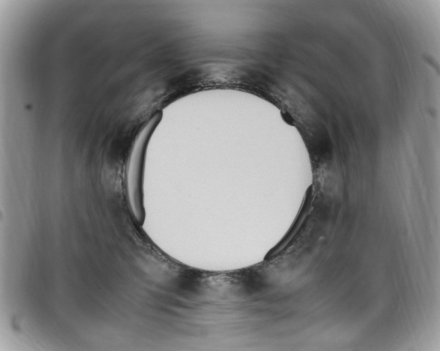 X0000097980423200803241046