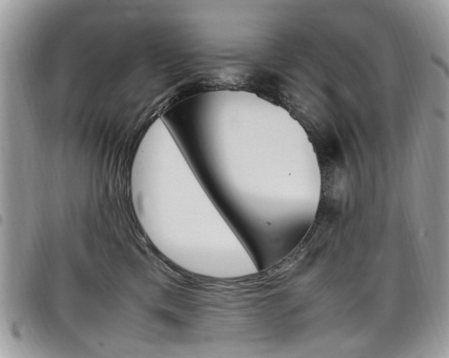 X0000097980425200803241046