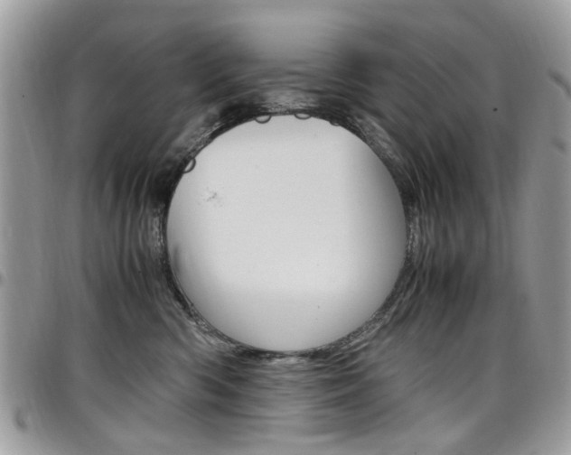 X0000097980426200803241046