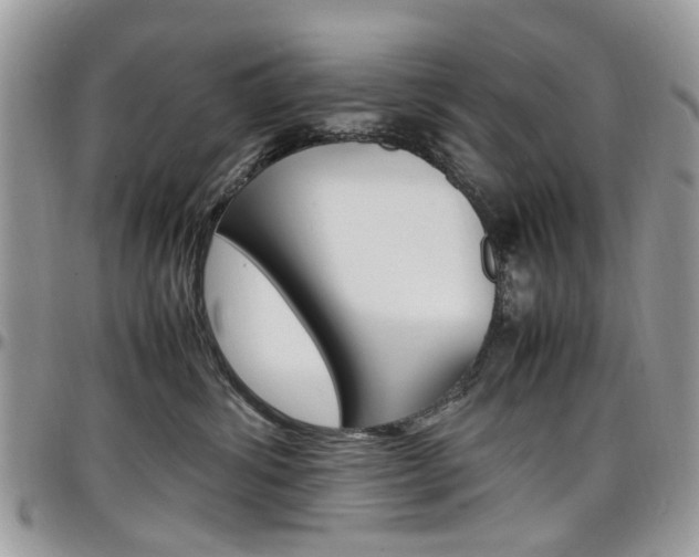 X0000097980428200803241046