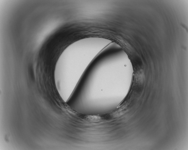 X0000097980429200803241046