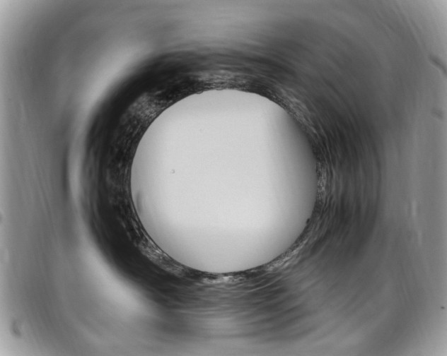 X0000097980430200803241046