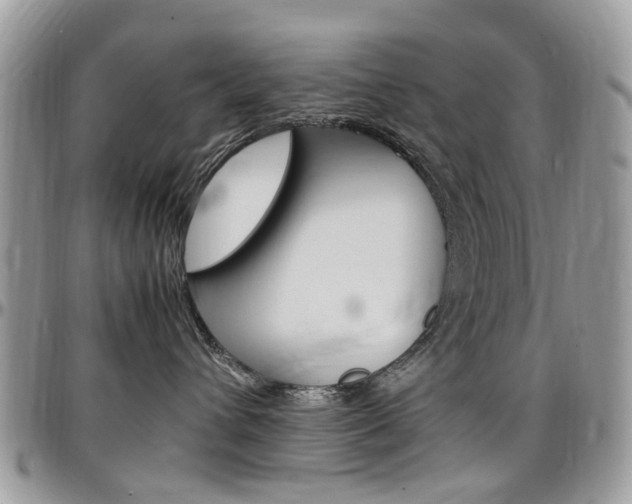 X0000097980432200803241046