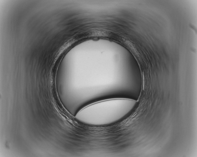 X0000097980435200803241045