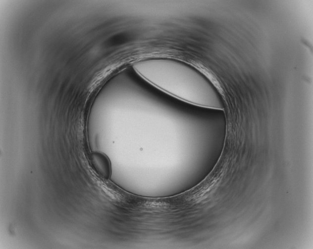 X0000097980437200803241045