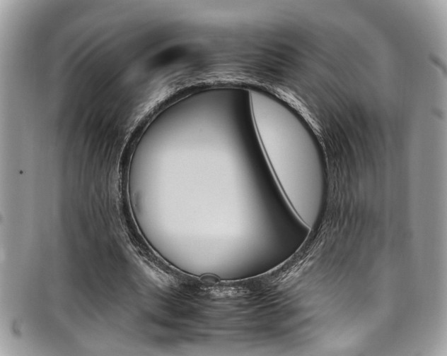 X0000097980439200803241045