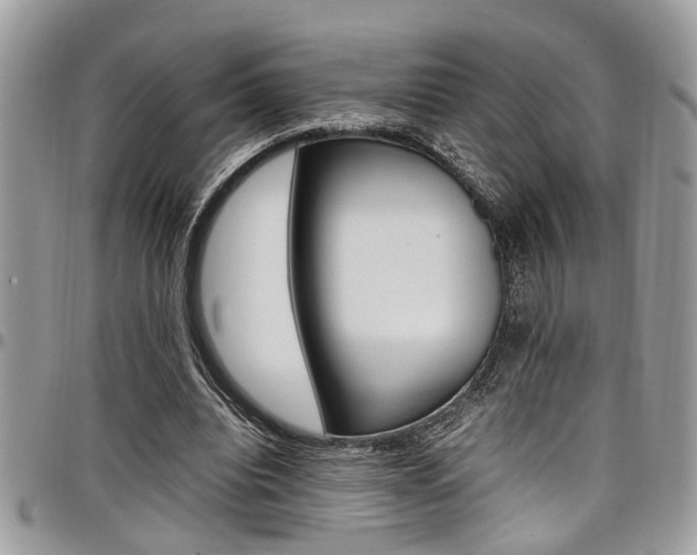 X0000097980440200803241045