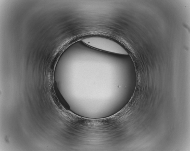 X0000097980444200803241045