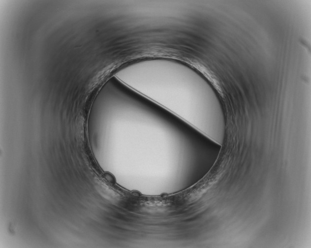 X0000097980445200803241045