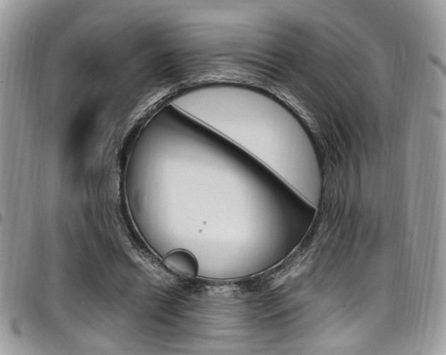 X0000097980446200803241045