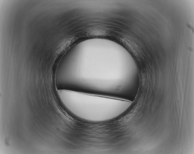 X0000097980447200803241045