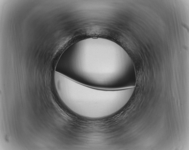 X0000097980448200803241045