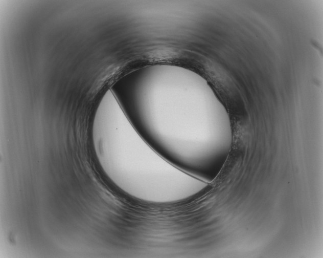 X0000097980452200803241046