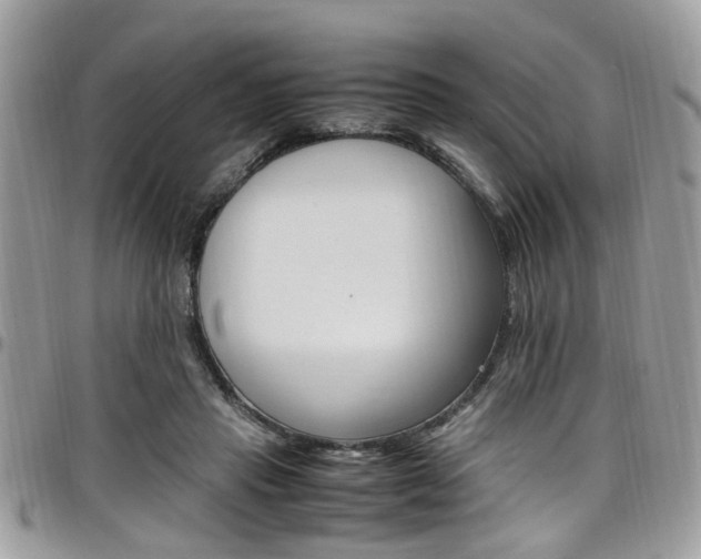 X0000097980453200803241046