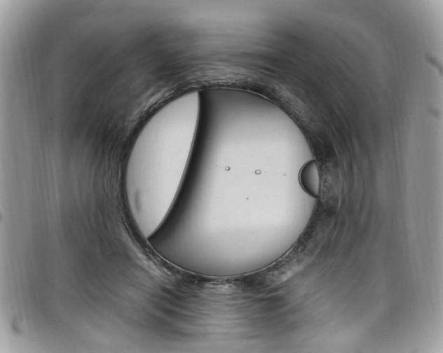 X0000097980454200803241046