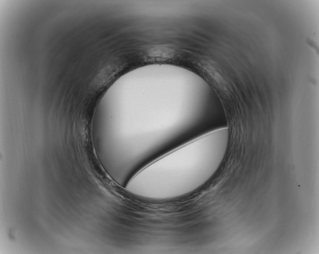 X0000097980455200803241046