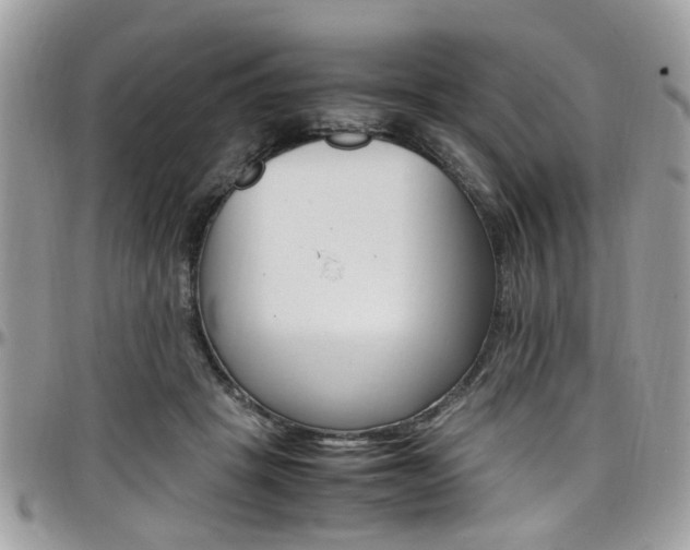 X0000097980457200803241046
