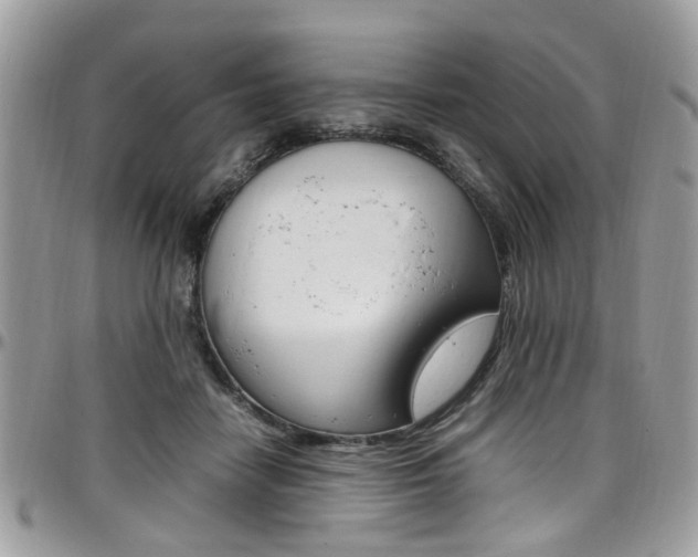 X0000097980458200803241046