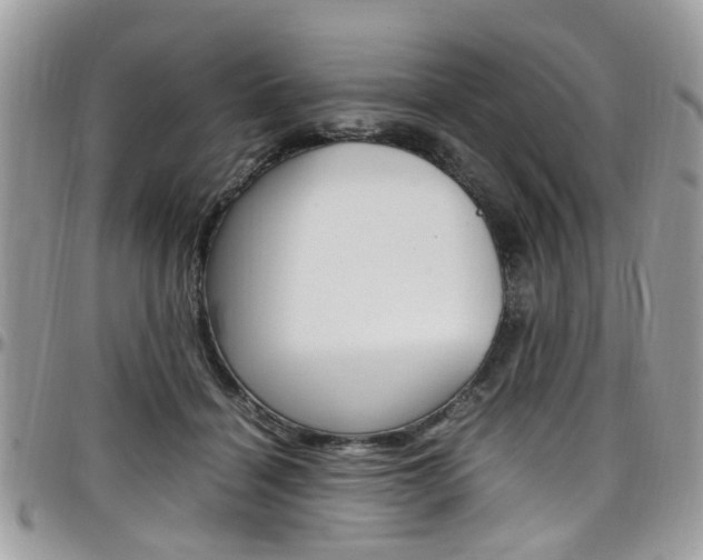 X0000097980460200803241046