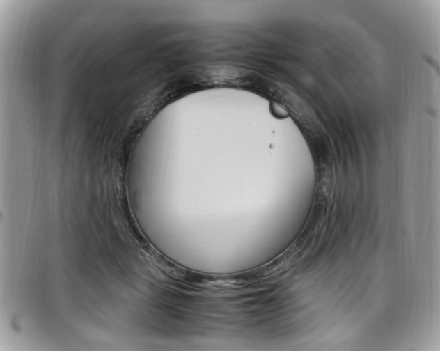 X0000097980461200803241046