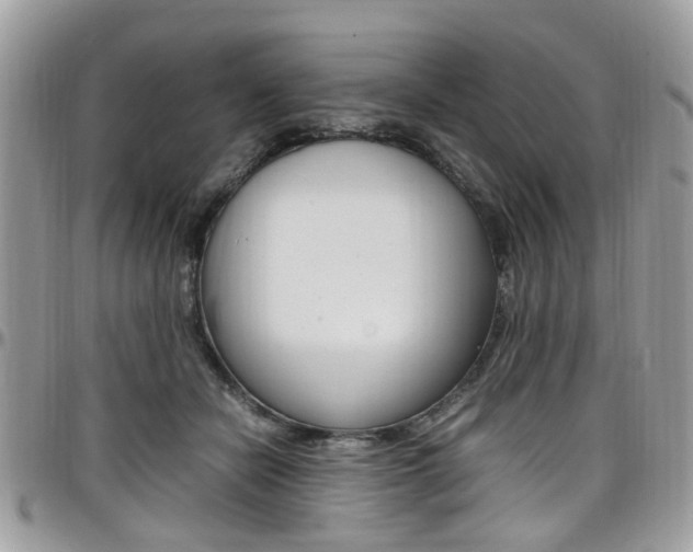 X0000097980462200803241046