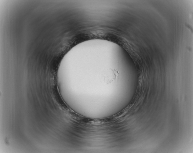 X0000097980464200803241046
