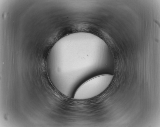 X0000097980465200803241046