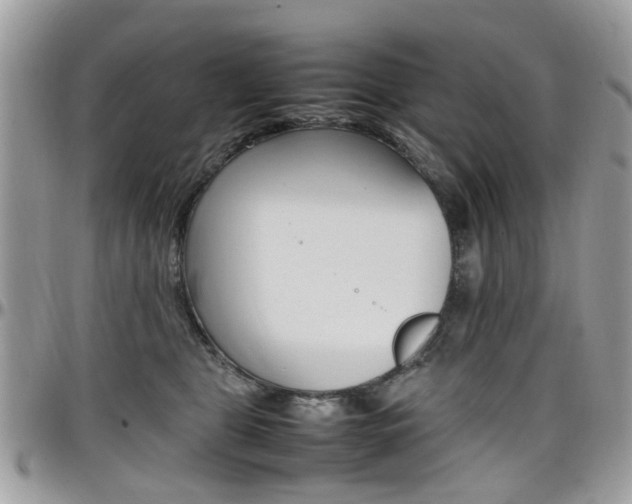 X0000097980469200803241046