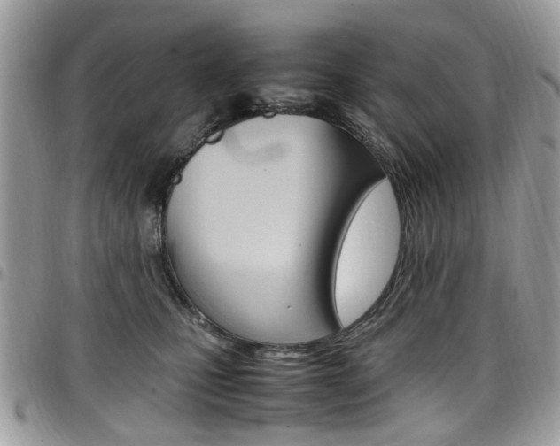 X0000097980471200803241046