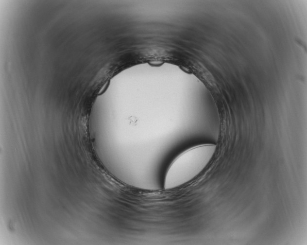 X0000097980473200803241046