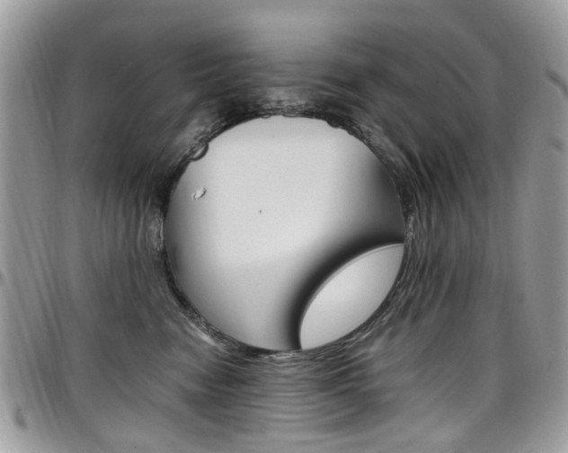 X0000097980474200803241046