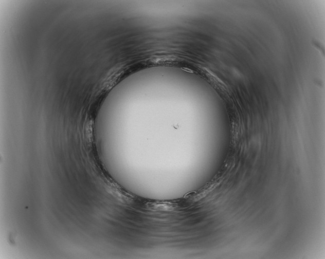 X0000097980475200803241046