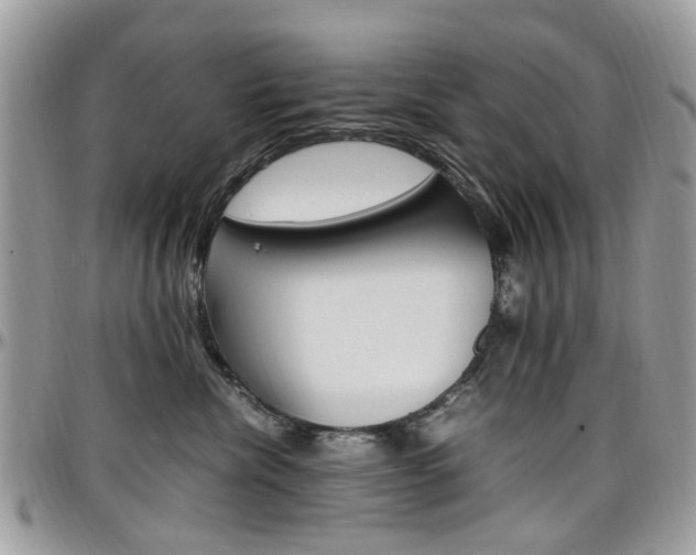 X0000097980476200803241046
