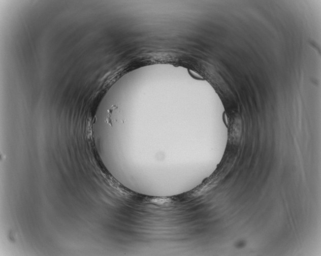 X0000097980478200803241046