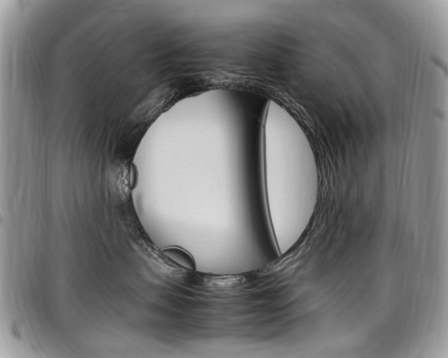 X0000097980479200803241046
