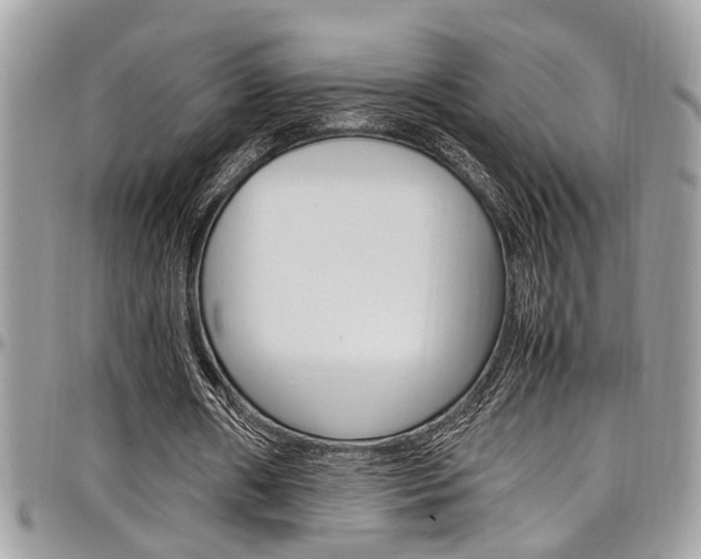 X0000097980482200803241045