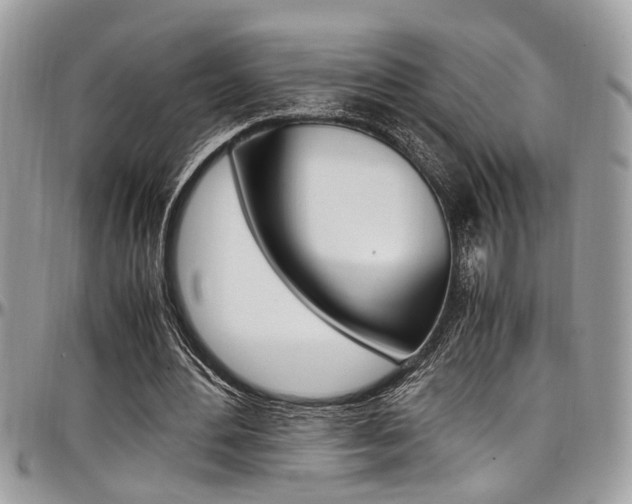 X0000097980484200803241045