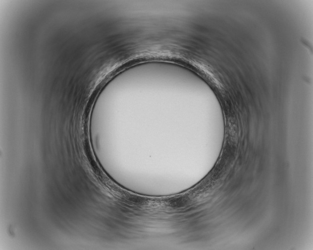 X0000097980487200803241045