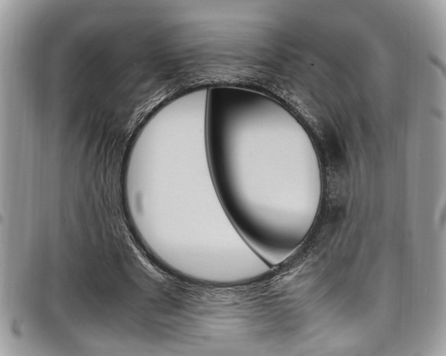 X0000097980489200803241045