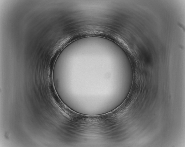 X0000097980490200803241045