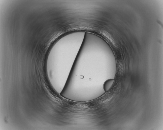 X0000097980491200803241045