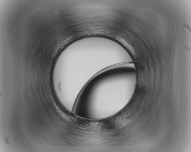 X0000097980493200803241045
