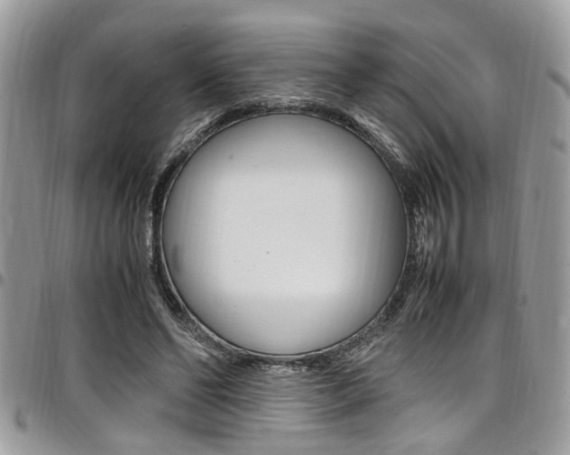 X0000097980494200803241045